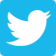 Twitter icon